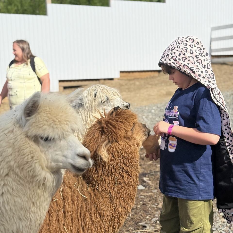 Directorate of Sheregesh resort